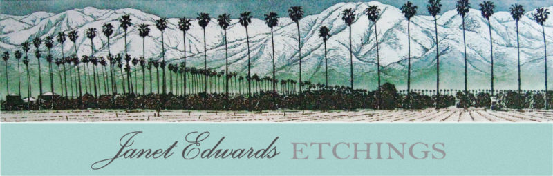 janet-edwards-header