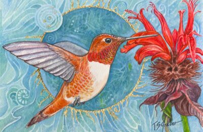 Hummingbird by Tracy Spears-Graber