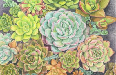 Succulents by Tracy Spears-Graber