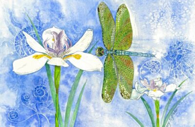 Dragonfly by by Tracy Spears-Graber