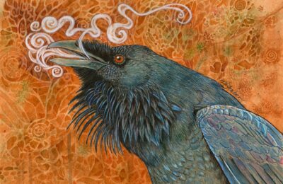 Raven by Tracy Spears-Graber